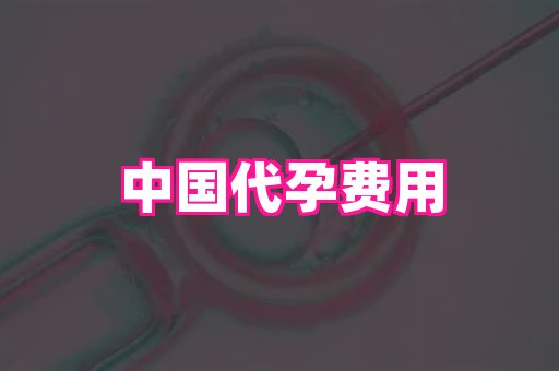 武汉助孕网 4